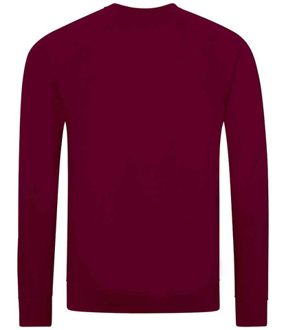 AWDis Academy Senior Raglan Sweatshirt